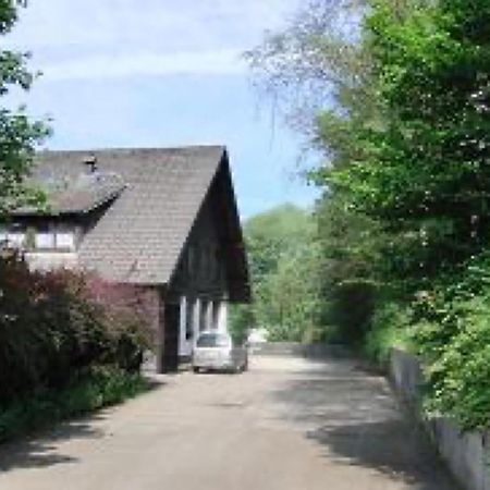 Ferienwohnungen Seeblick Unterkirnach Экстерьер фото