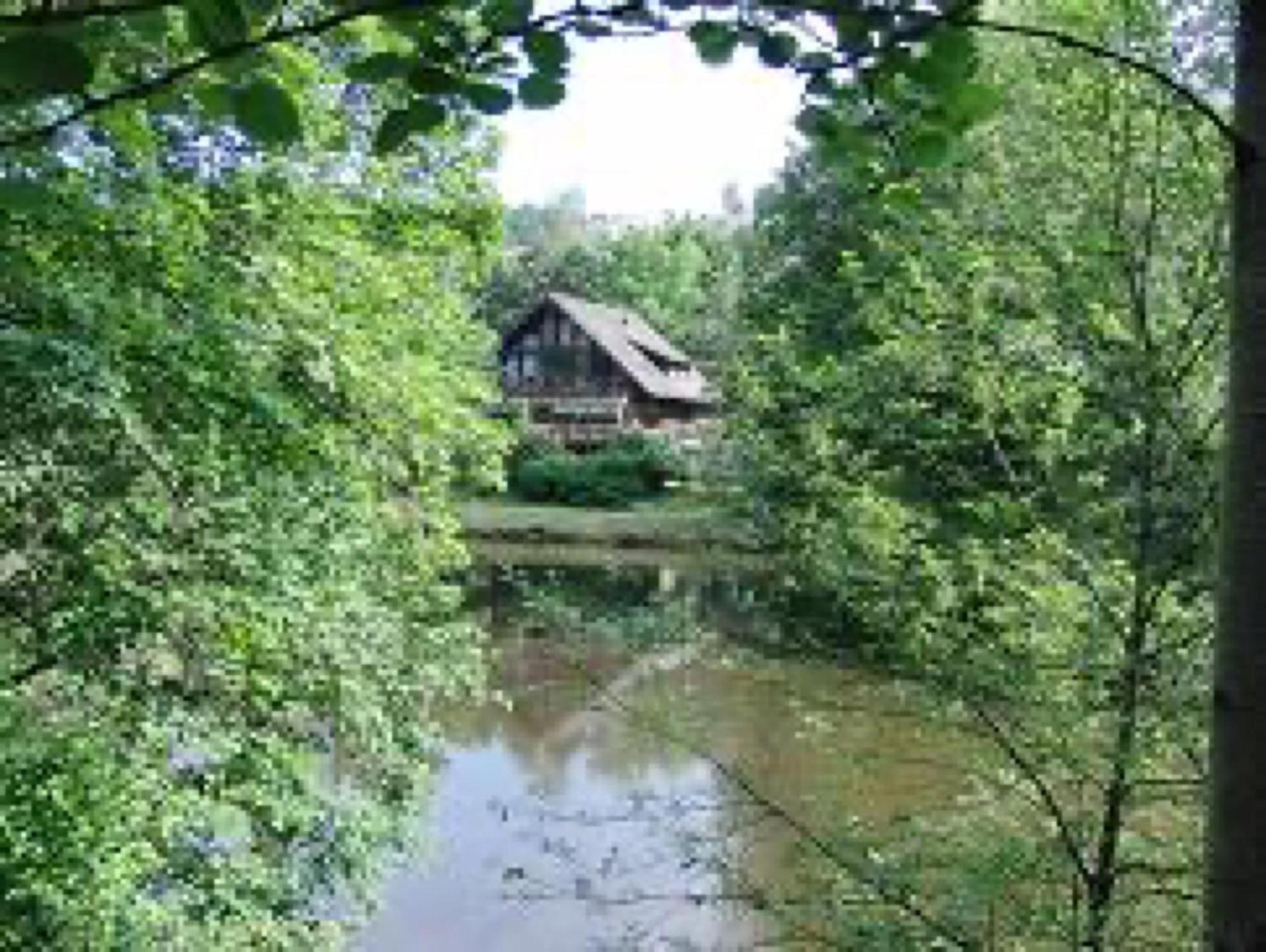 Ferienwohnungen Seeblick Unterkirnach Экстерьер фото
