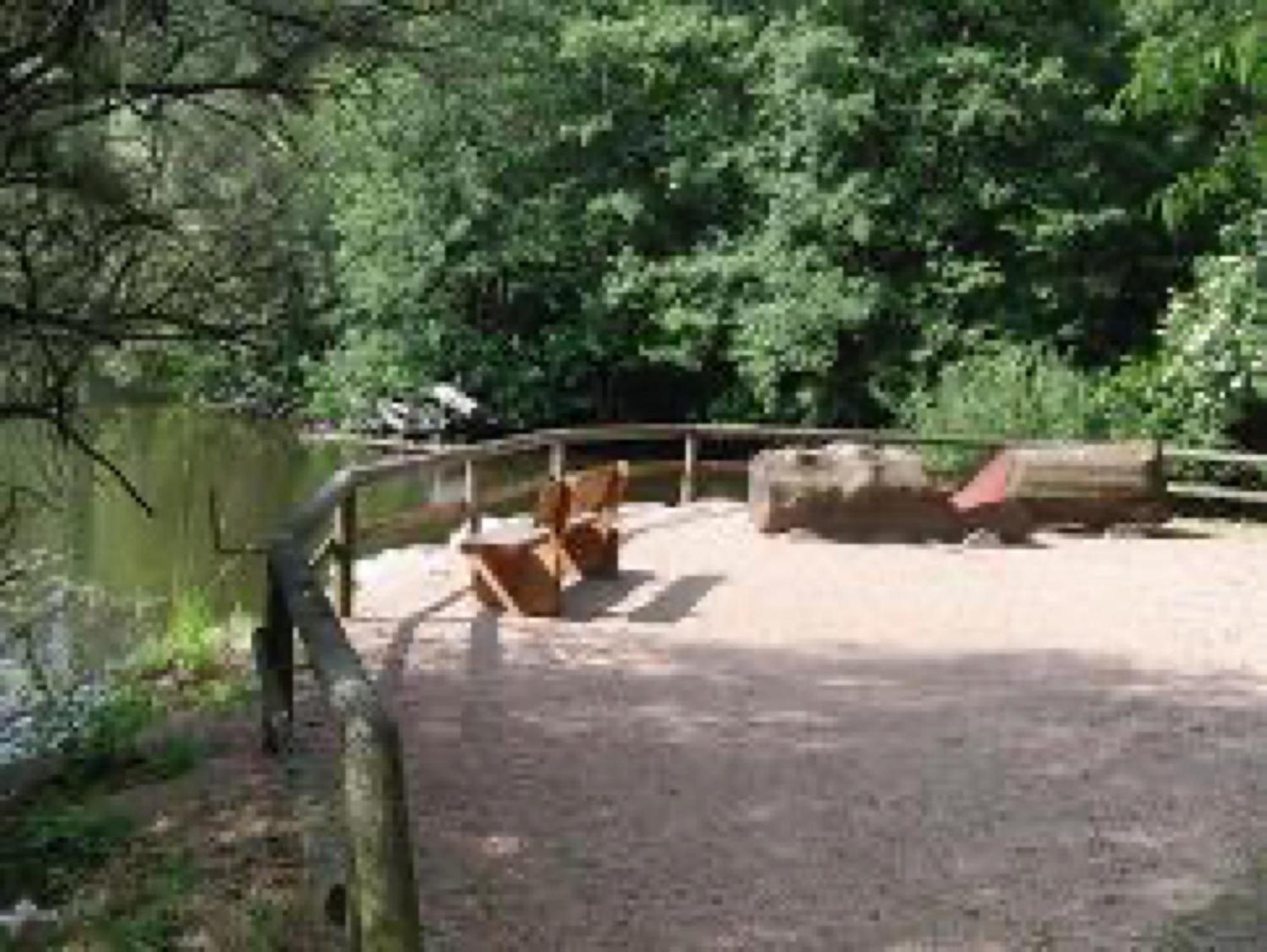 Ferienwohnungen Seeblick Unterkirnach Экстерьер фото
