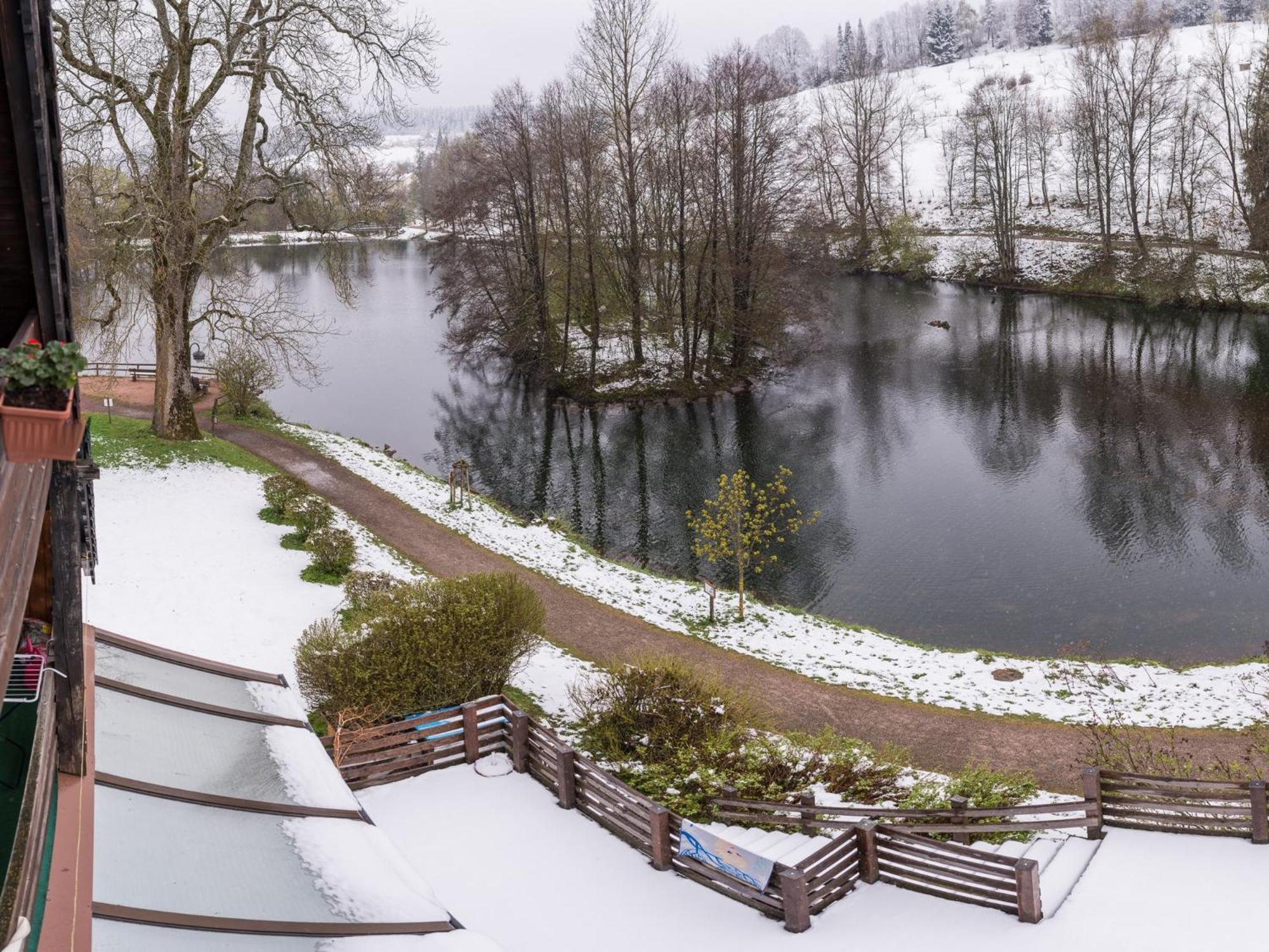 Ferienwohnungen Seeblick Unterkirnach Экстерьер фото